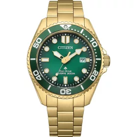 Citizen Promaster Marine muški sat BN0262-59W